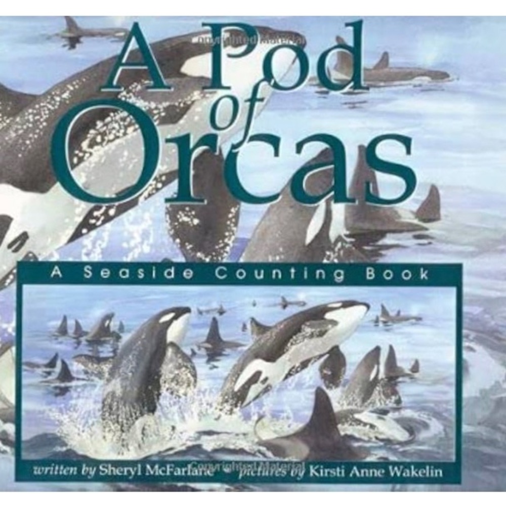 5for$20📗A Pod of Orcas - A Seaside Counting Book